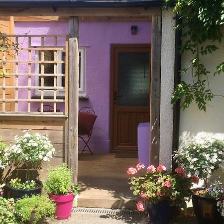 Cute Self-Contained Guest Room With Ensuite And Private Decked Porch In Glastonbury Exteriör bild