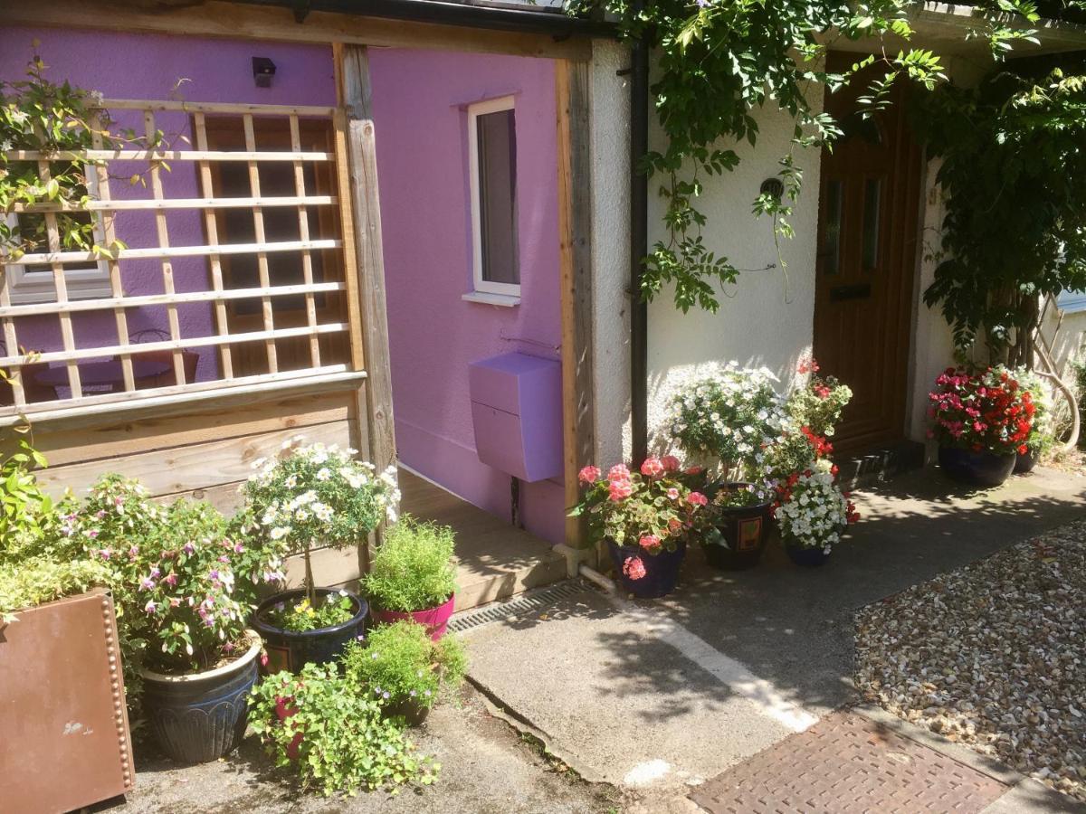 Cute Self-Contained Guest Room With Ensuite And Private Decked Porch In Glastonbury Exteriör bild